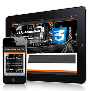 Responsive Design